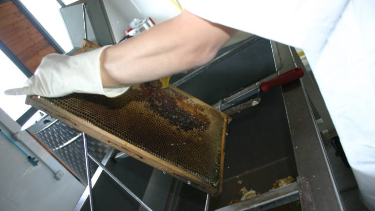 Le vie del Miele