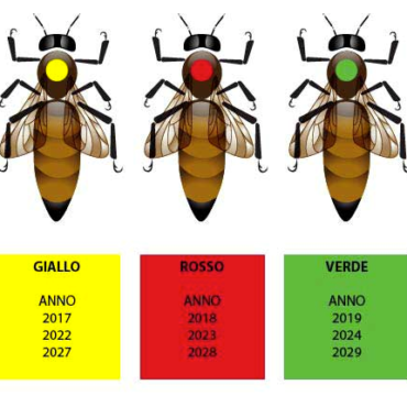 La marcatura delle api regine