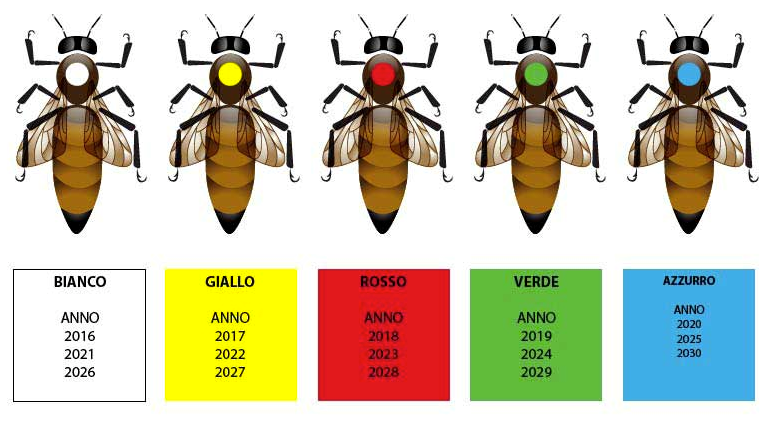 La marcatura delle api regine