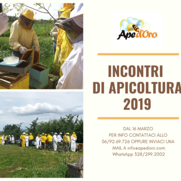 Incontri di Apicoltura – Edizione 2019