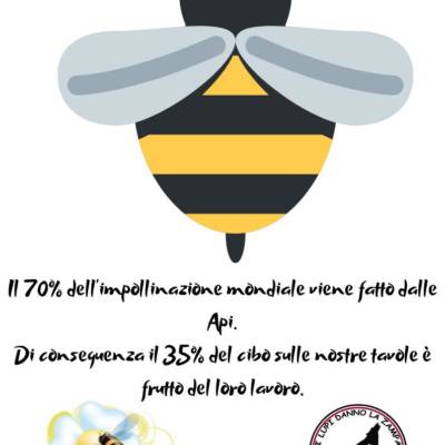 volantino 20 05 2019 pag 2