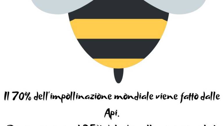 20 Maggio 2019: giornata mondiale api!!!