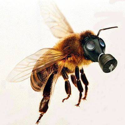 ape con maschera