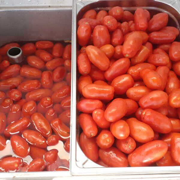 Passata di Pomodoro - immagine 5